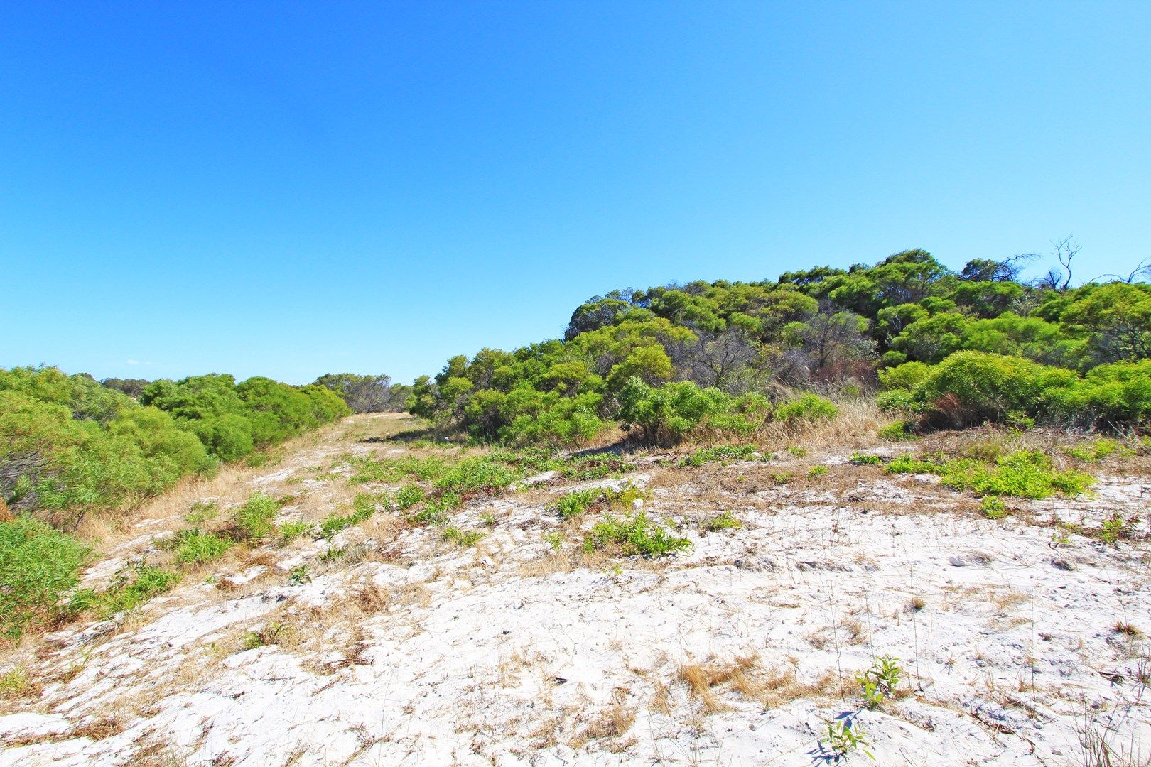 Lot 107 Homestead Loop, Jurien Bay WA 6516, Image 2