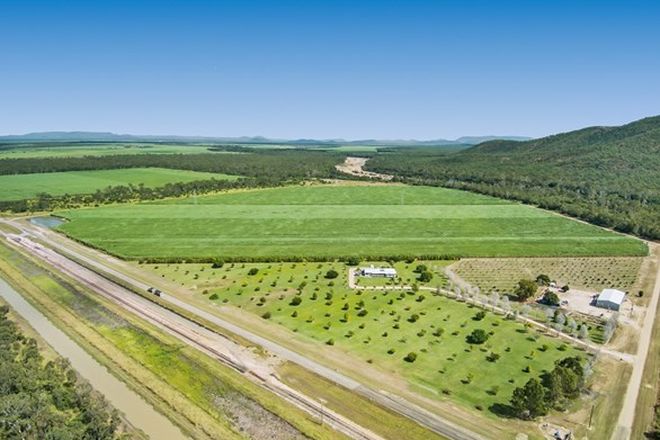 Picture of 944 Upper Haughton Road, UPPER HAUGHTON QLD 4809