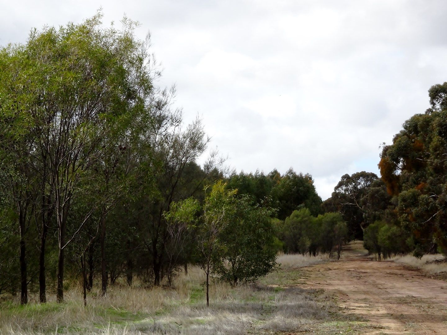 Lot 7244 Popanyinning West Rd, Popanyinning WA 6309, Image 0