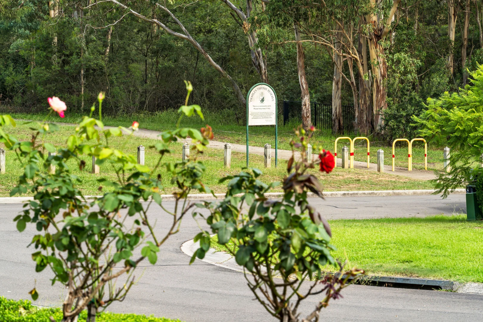 Additional image 18 of 17 Cavers Street, Currans Hill NSW 2567