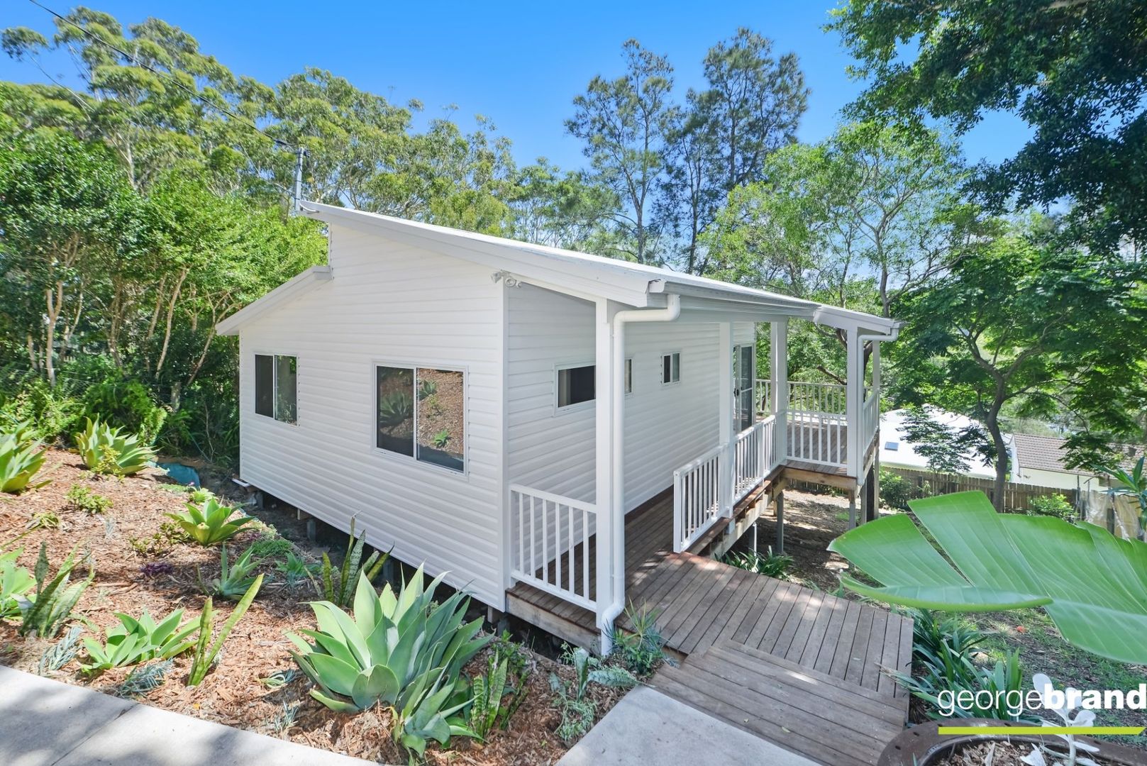 24a Warren Avenue, Avoca Beach NSW 2251 House For Rent Domain