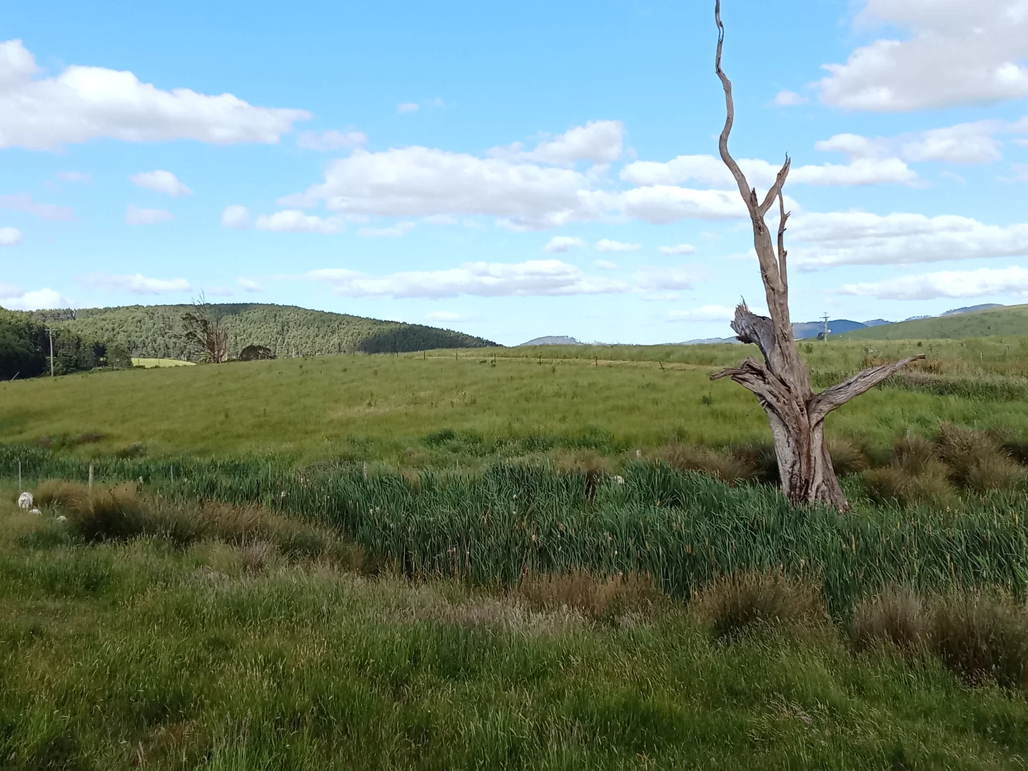 Additional image 7 of Springfield TAS 7260