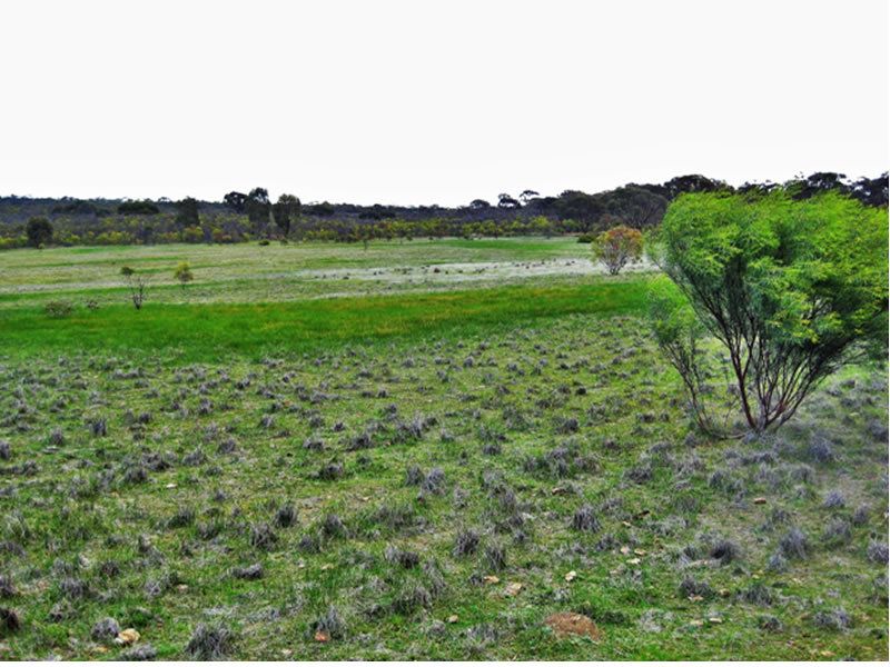 Lot 1 Wedderburn-Wychitella Road, Buckrabanyule VIC 3525, Image 0