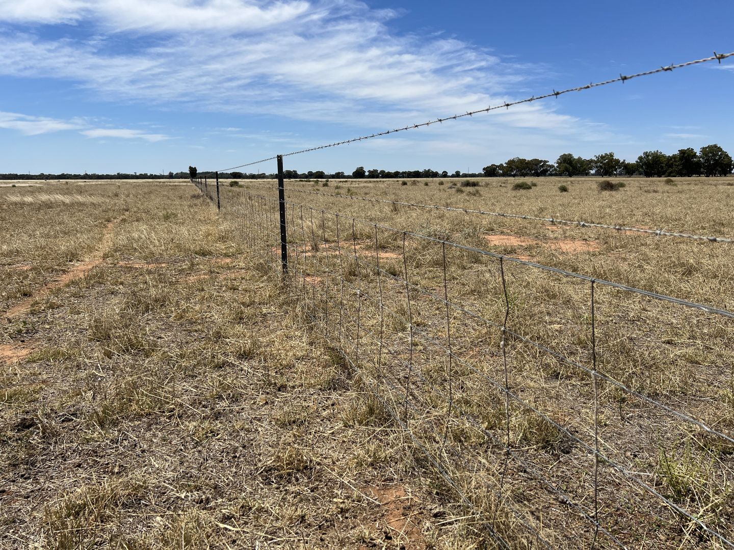 Russells Road, Deniliquin NSW 2710, Image 1