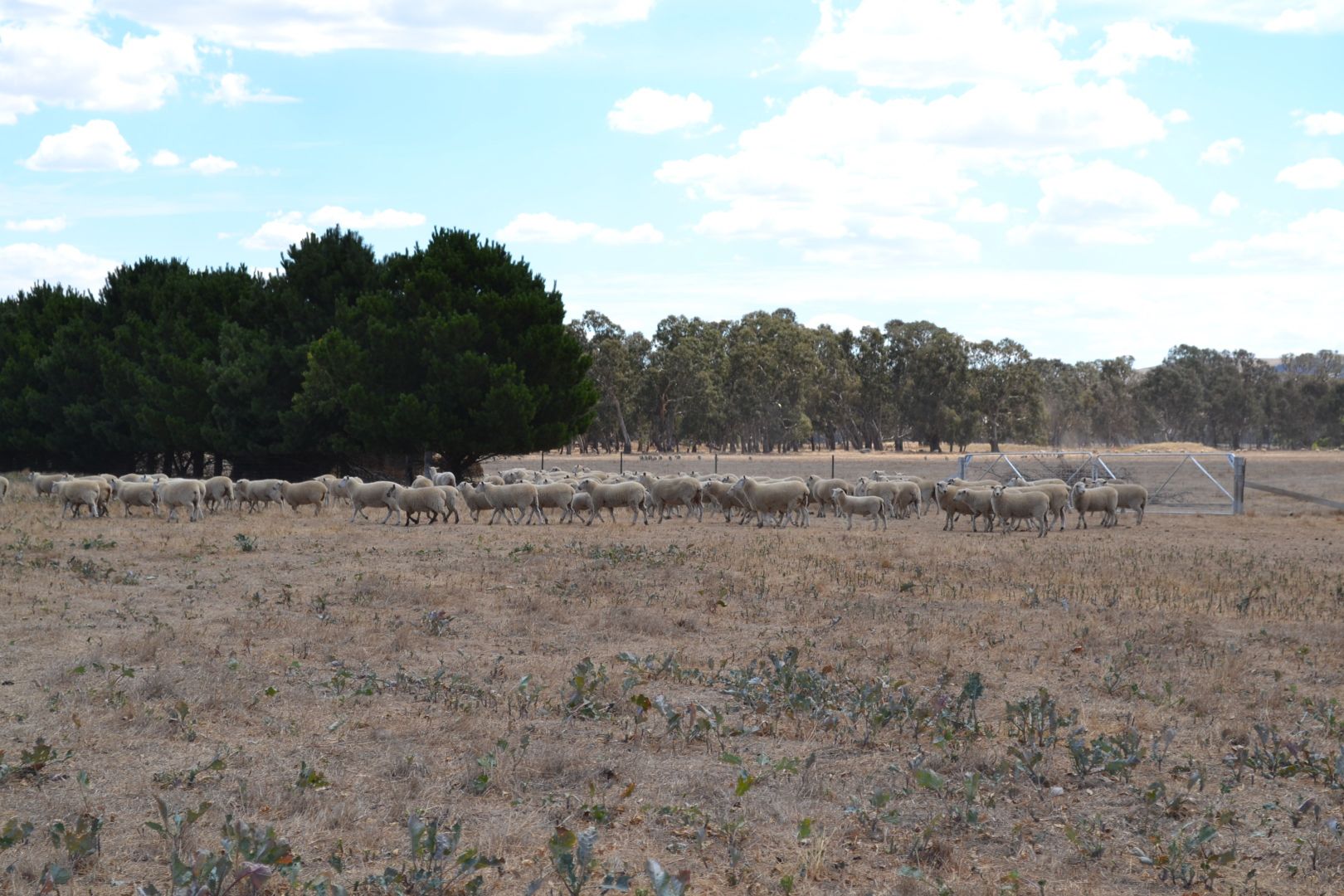 0 Aherns Road,, Middle Creek VIC 3375, Image 1