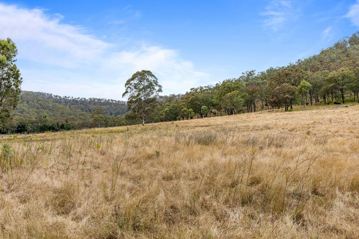 262 Hendrie Road, Upper Pilton QLD 4361, Image 1