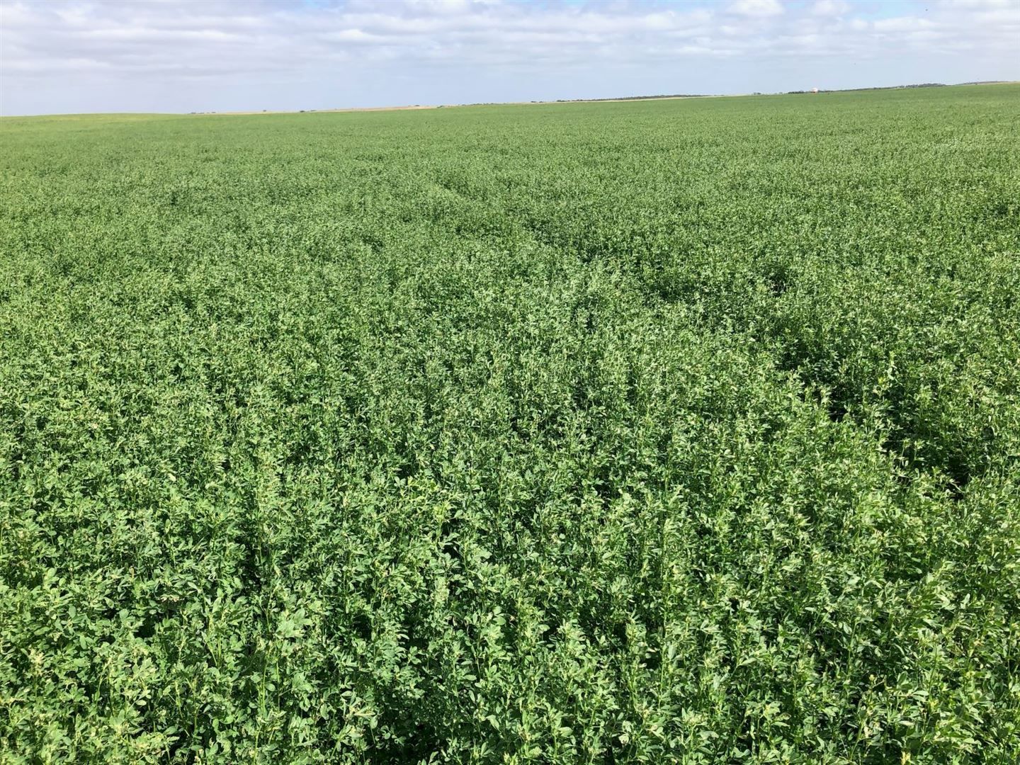 Farm in Wallowa/298 Arthurs Road, TELOPEA DOWNS VIC, 3420