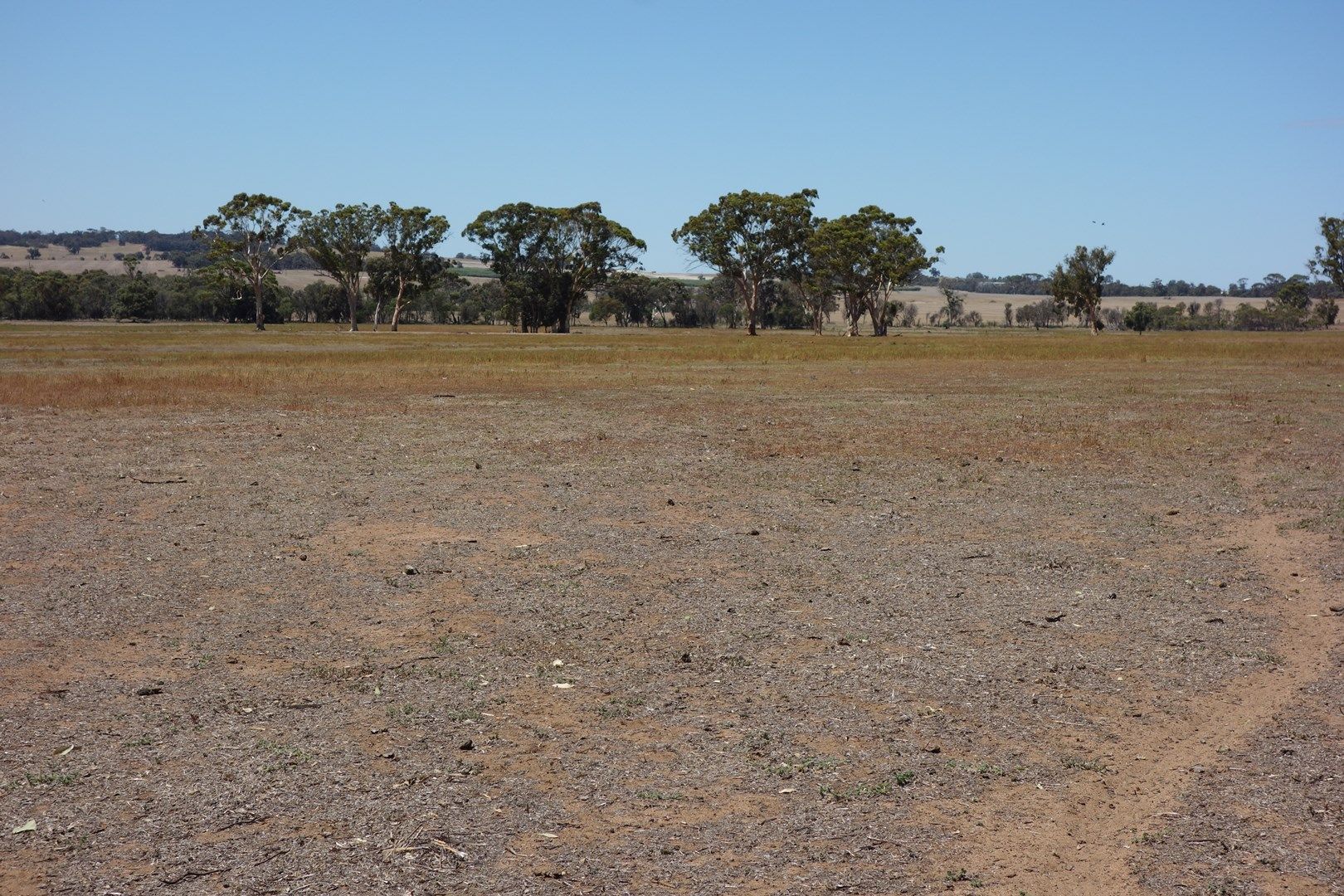 Lot 3837 Spriggs Fraser Road, Wagin WA 6315, Image 0