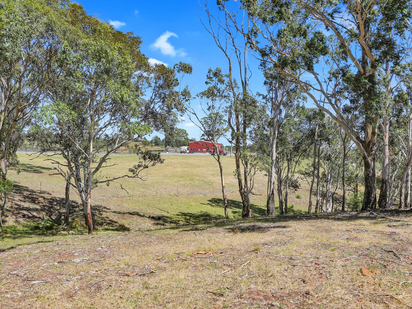Image 10