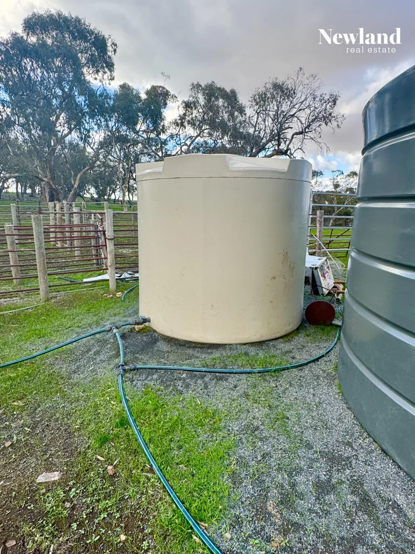 Additional image 7 of Lot 556 Kelly Road, Undalya SA 5451