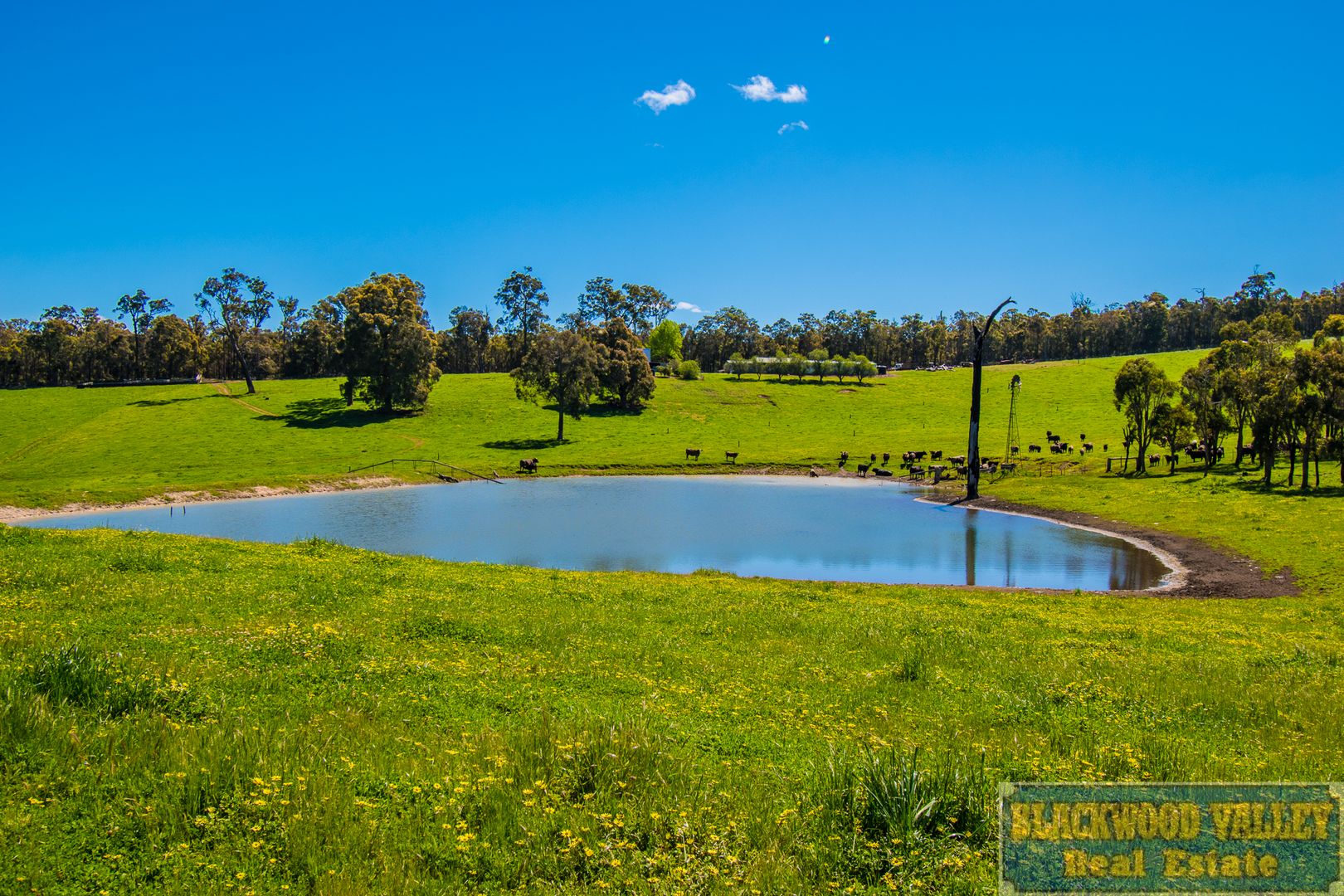 179 Lentom Road, Manjimup WA 6258, Image 1