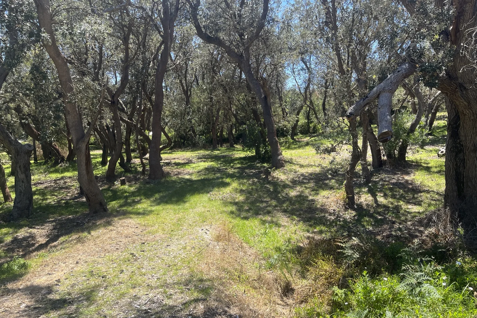 Image 11