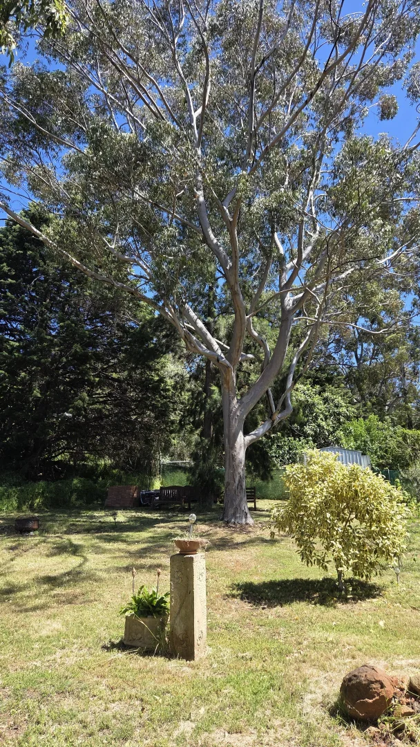 Image 35