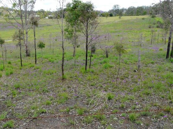 Lot 15 Reid Road, Widgee QLD 4570, Image 1