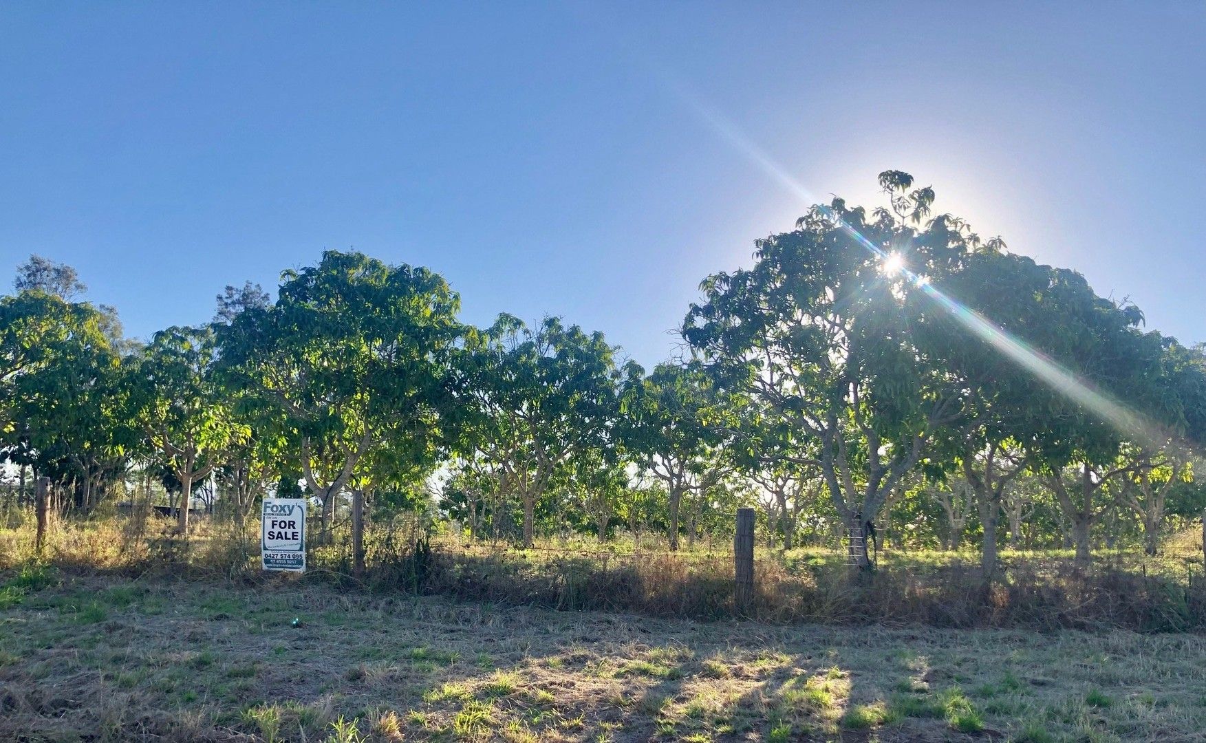 Morganville QLD 4671, Image 0