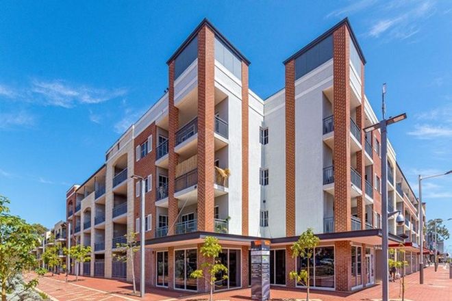 25 Apartments For Rent In Joondalup Wa 6027 Domain