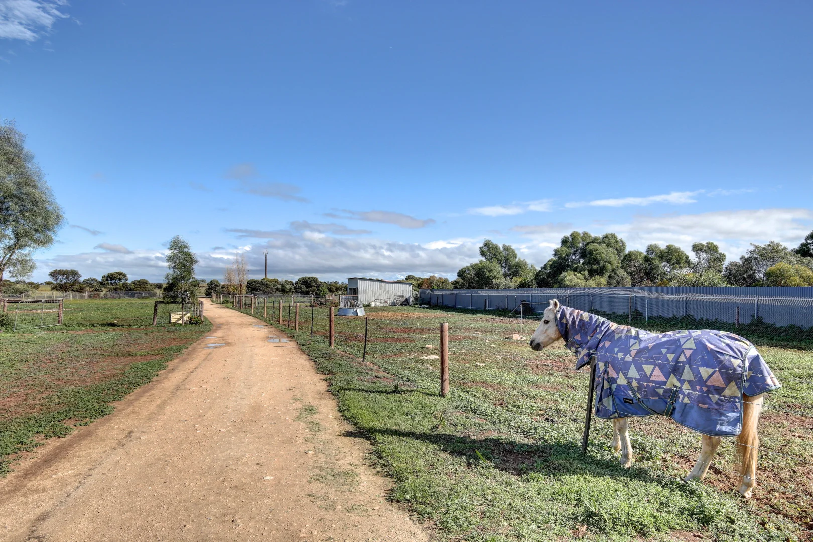 Image 24