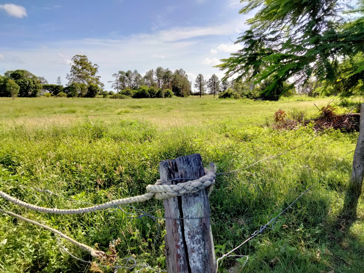 Image 36