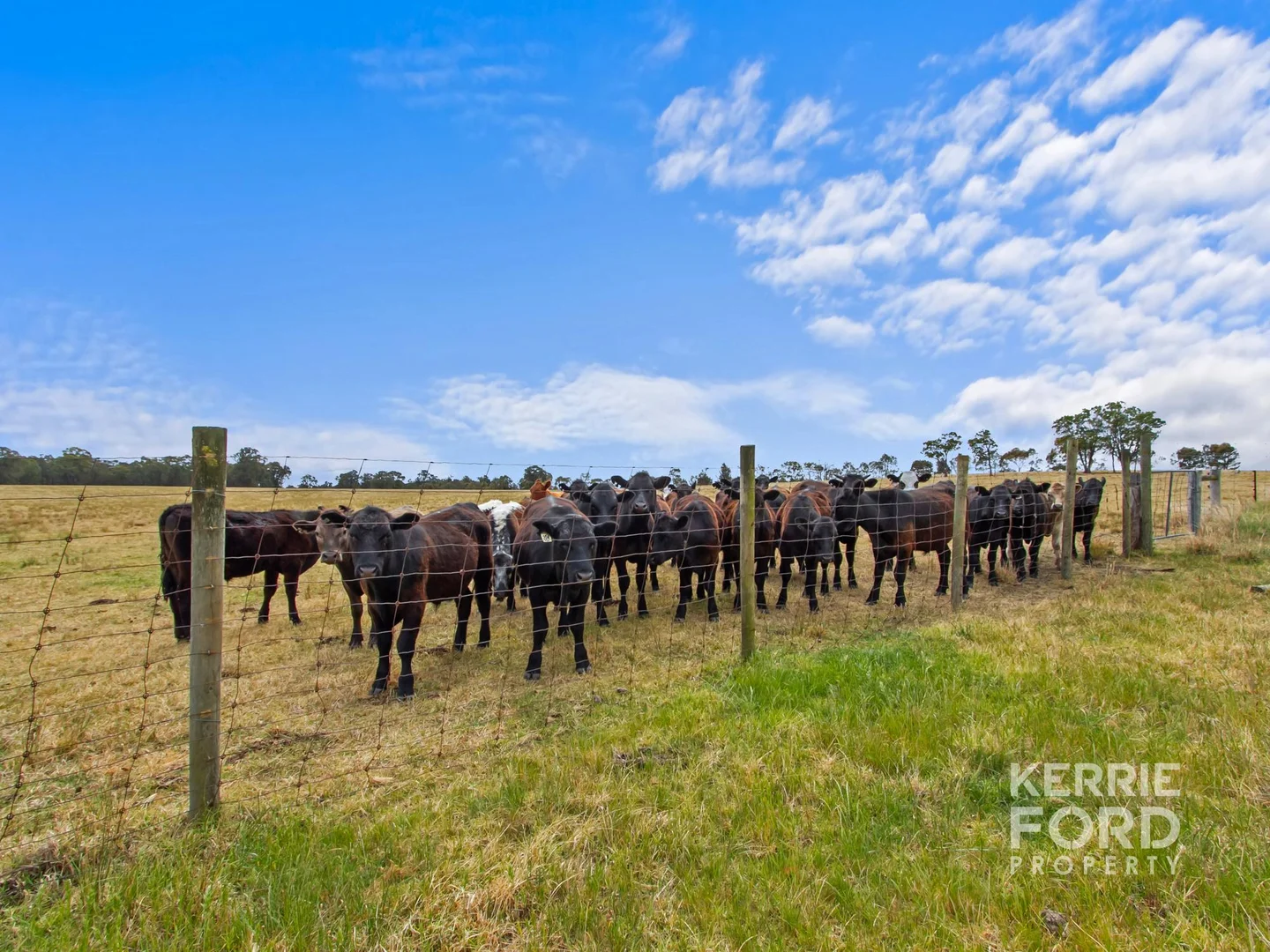 Additional image 5 of 2/810 Tinamba Seaton Road, Tinamba VIC 3859