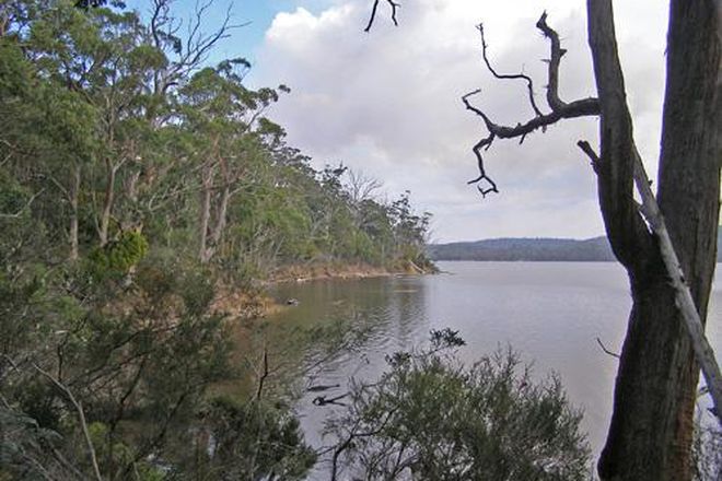 Picture of 201 Hastings Bay Esplanade, HASTINGS TAS 7109