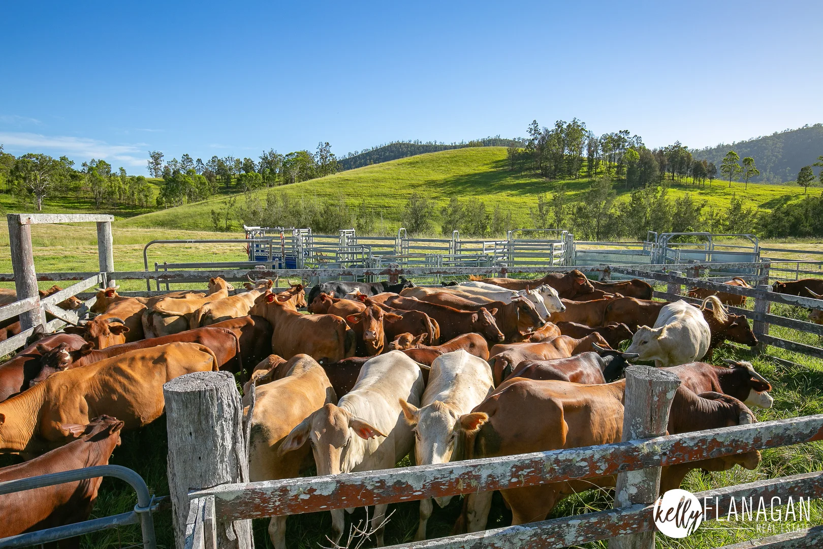 Additional image 10 of 2953 Willi Willi Road, Moparrabah NSW 2440
