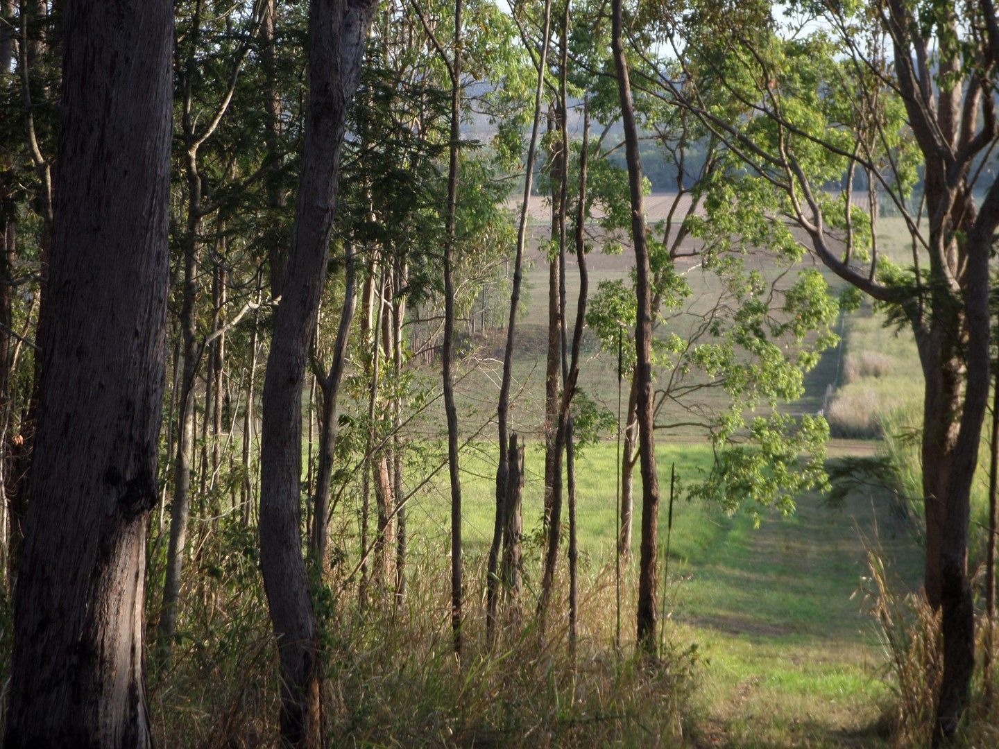 Gargett QLD 4741, Image 0