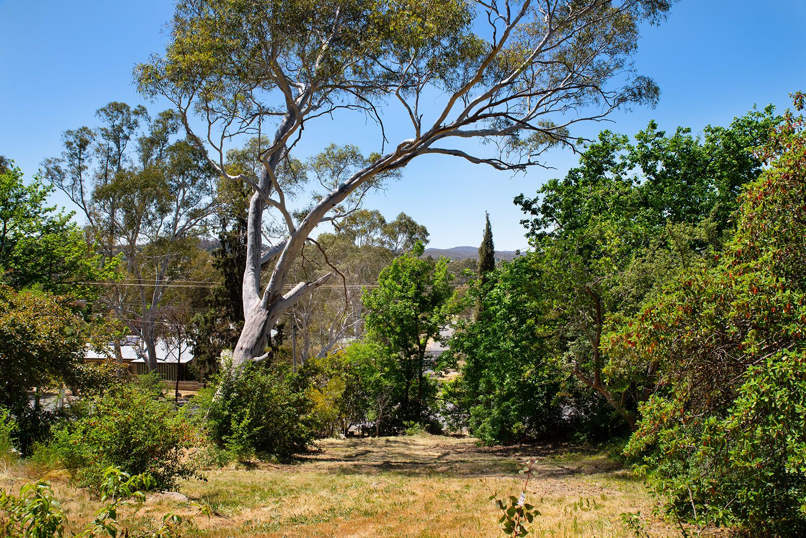 13 Bowden Street, Castlemaine VIC 3450, Image 1