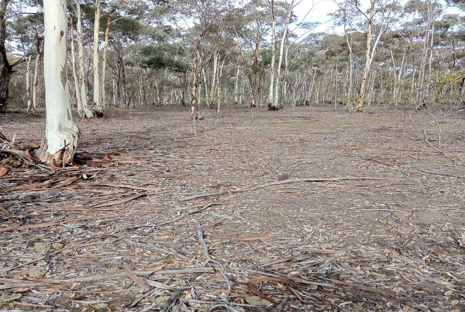 Image 12