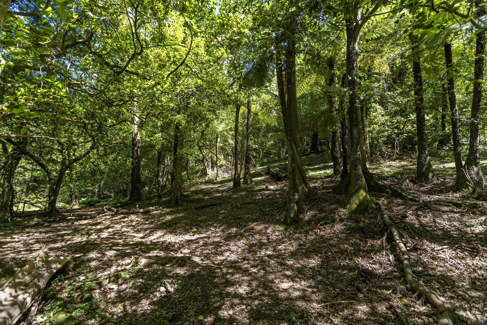 Image 15