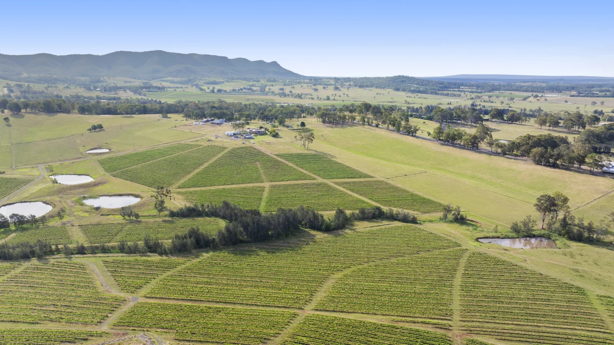 Image 26