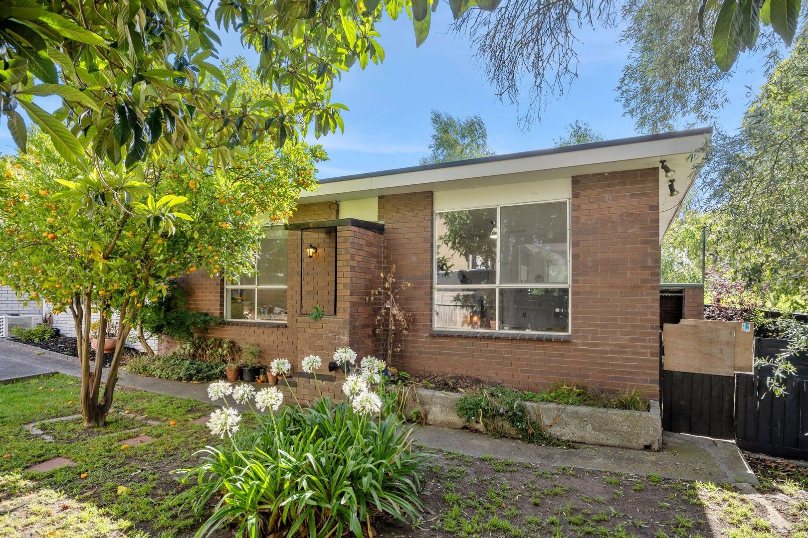 4/69A Camden Road, Newtown VIC 3220, Image 0