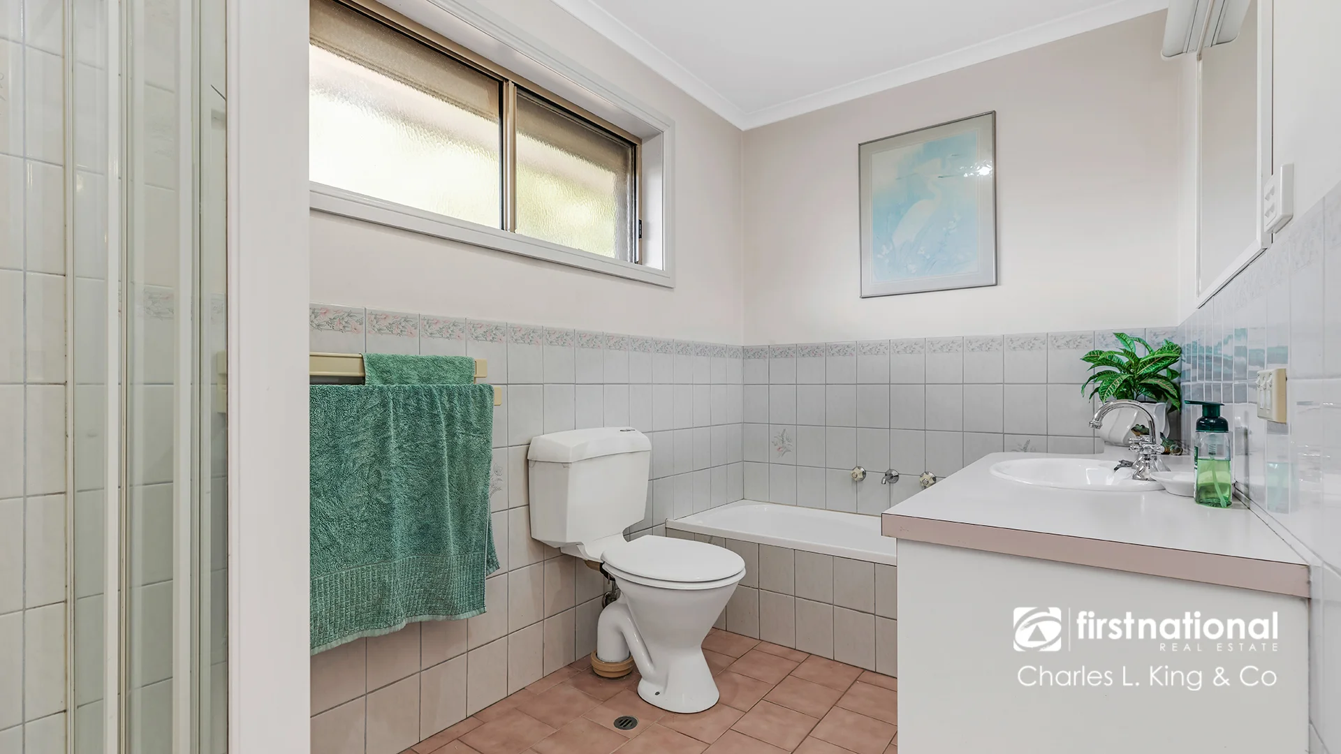 Image 15