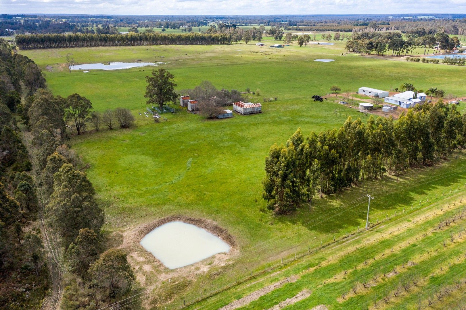 60 Rutherford Street, Manjimup WA 6258 House for Sale Domain