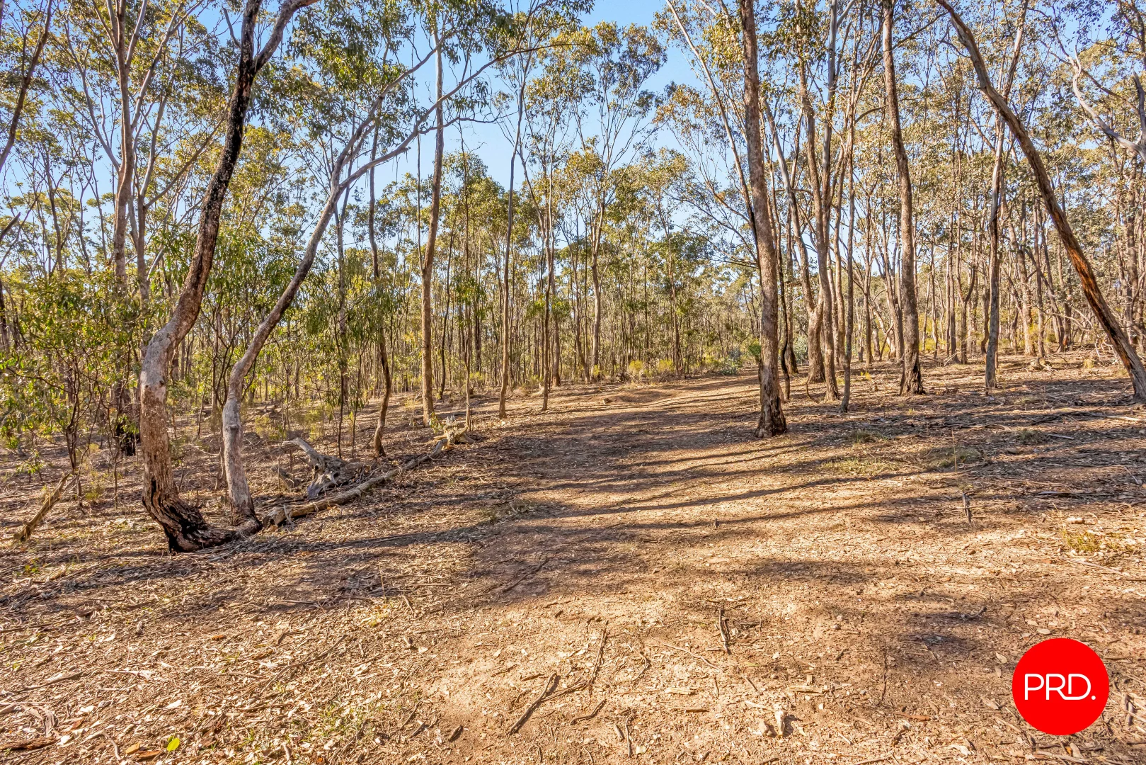 Image 14