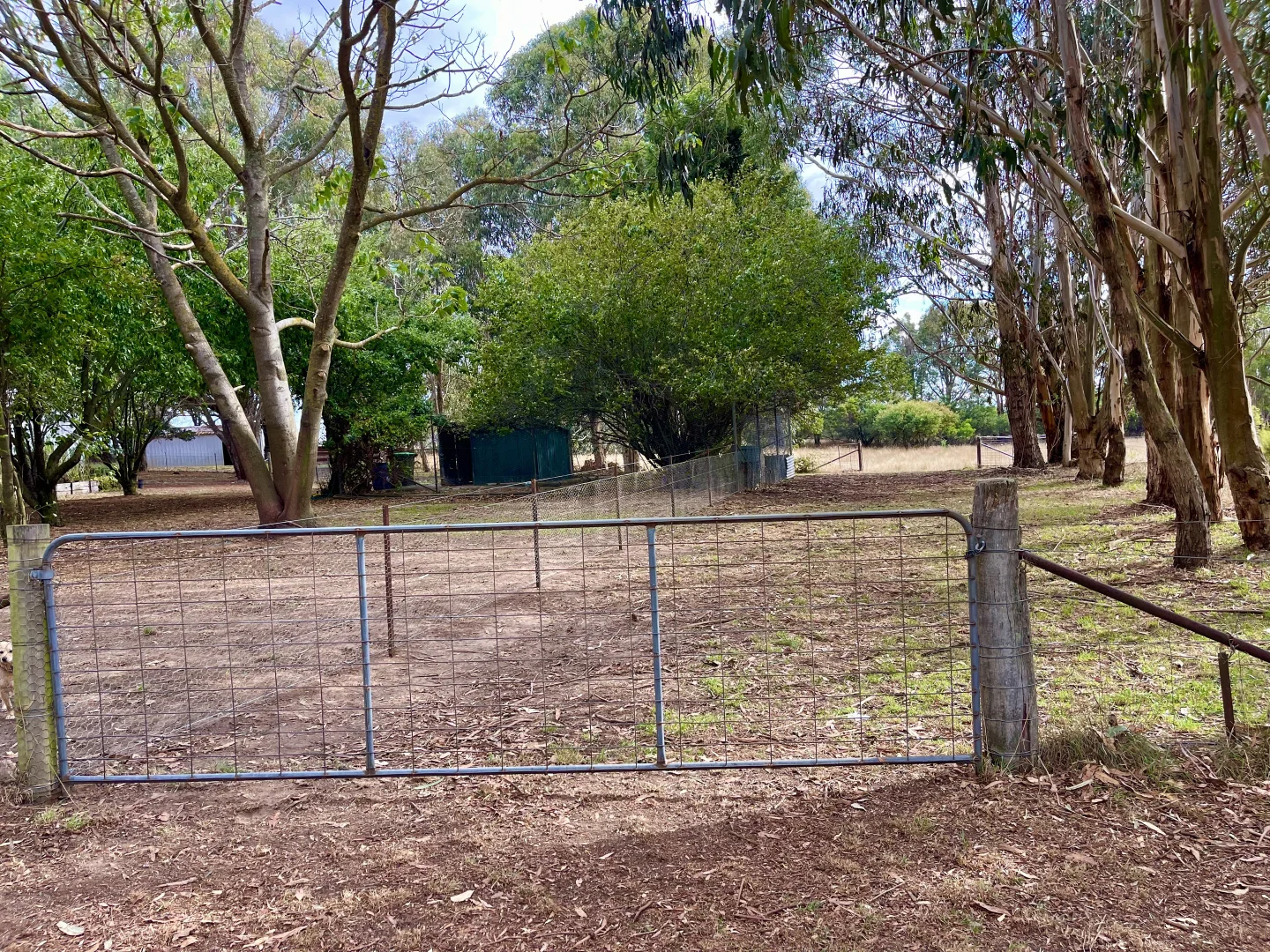 Additional image 23 of 73 Hewitts Lane Grabben Gullen Via, Crookwell NSW 2583