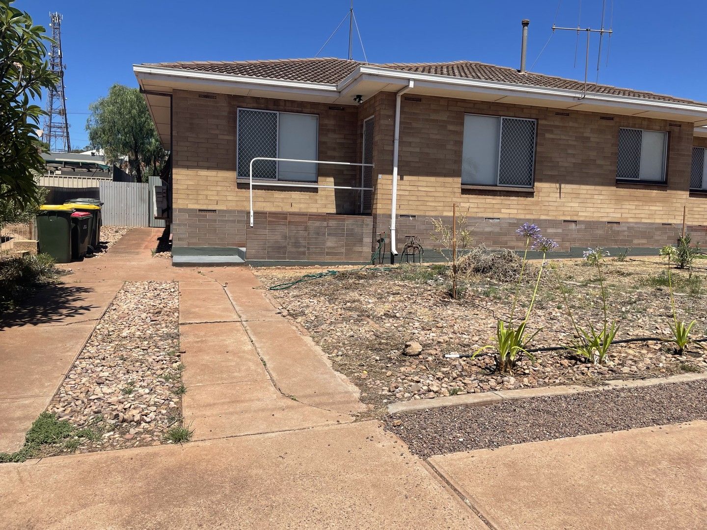 1/55 Lacey Street, Whyalla SA 5600 Apartment For Rent Domain