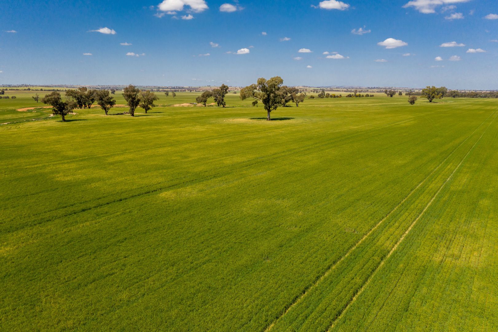 Olympic Highway, Junee NSW 2663, Image 2