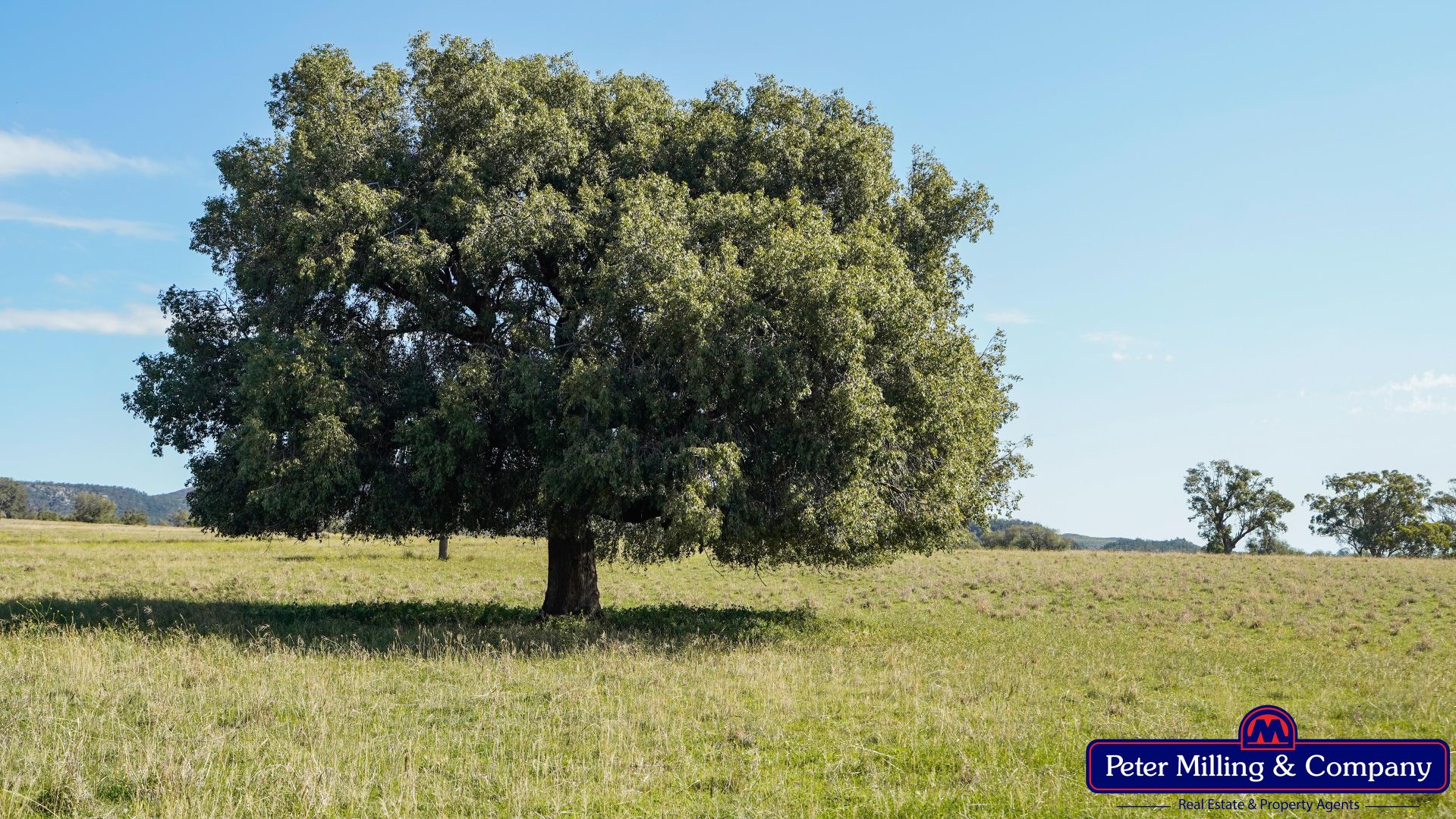 'Top Walga' 281 Top Walga Road, Tooraweenah NSW 2817 - Farm for Sale