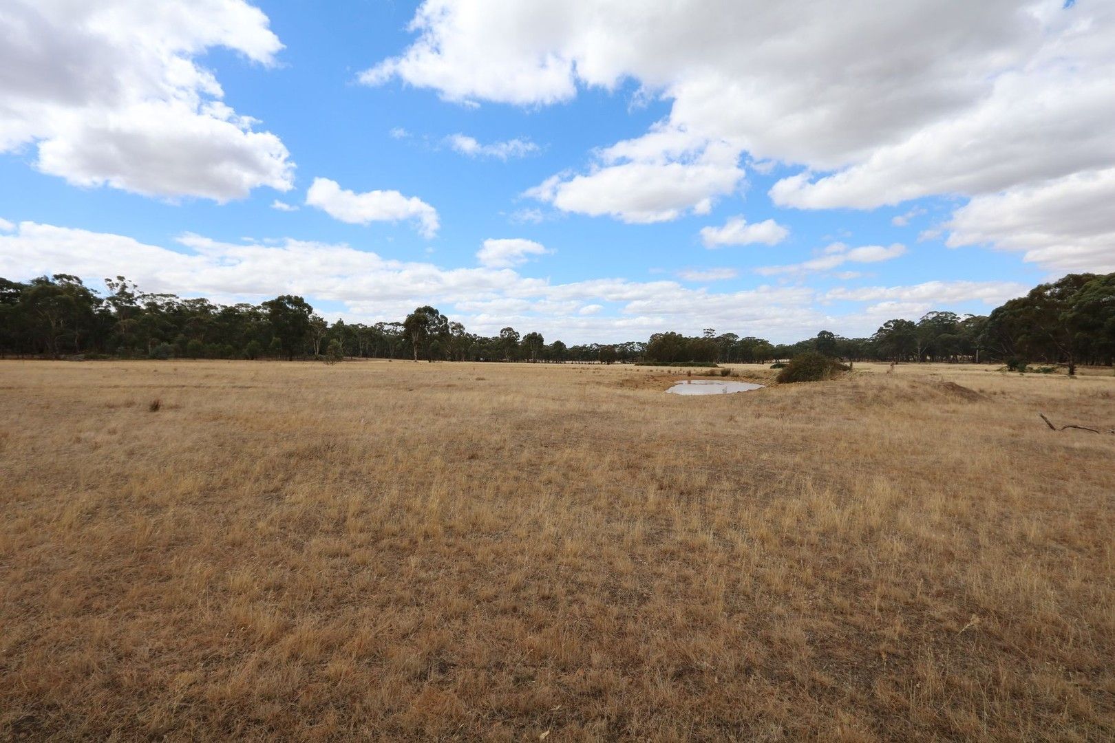 Rural in 430 Stuart Mill Road, DUNOLLY VIC, 3472