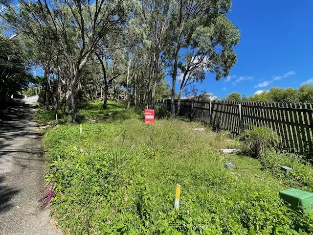 Image 11