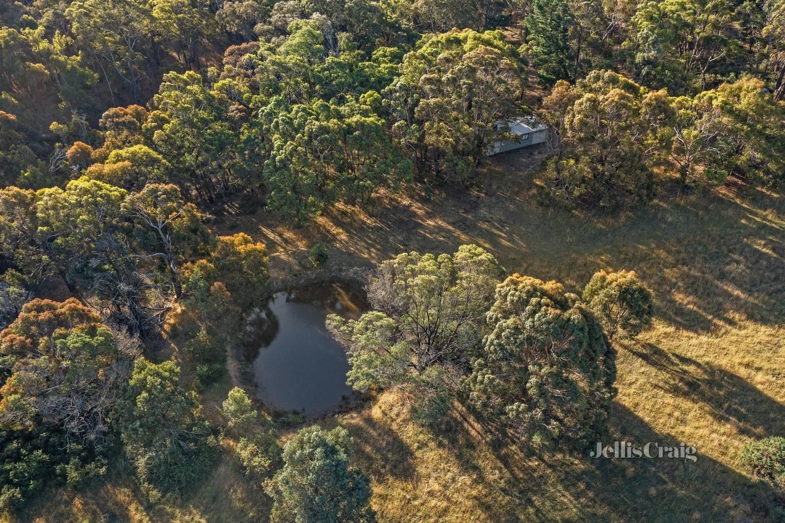 Lot 9 Moppianimum Road, Scarsdale VIC 3351, Image 2