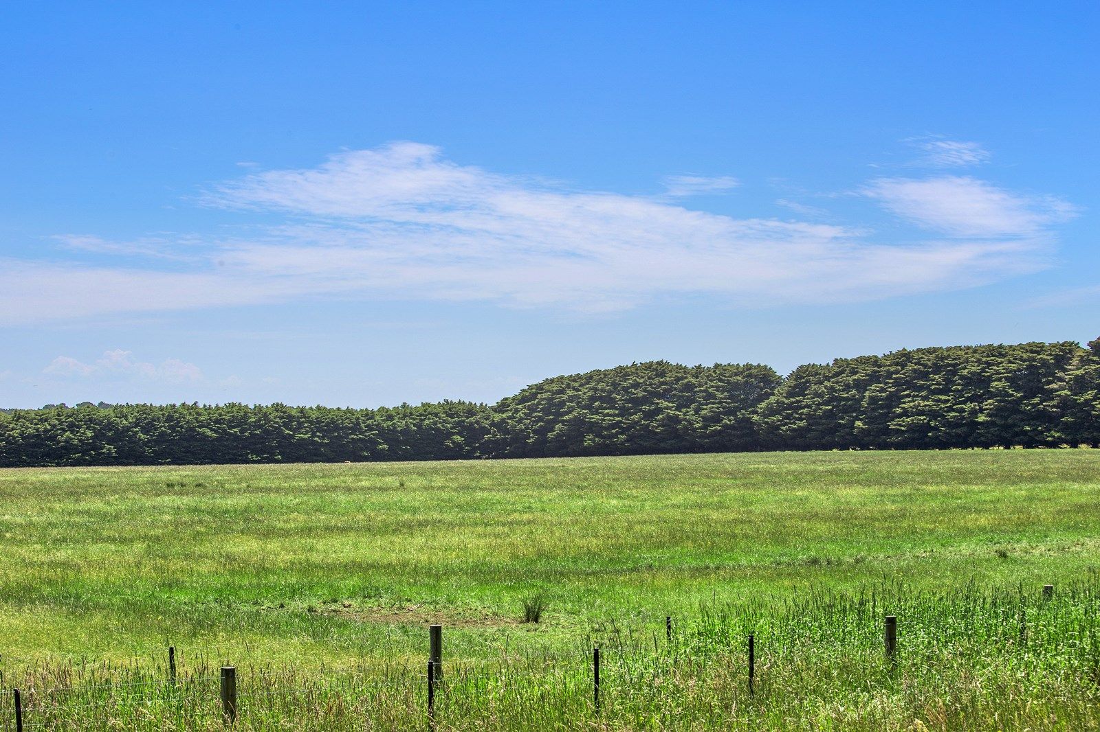 1750 Cape Otway Road, Wurdiboluc VIC 3241, Image 1