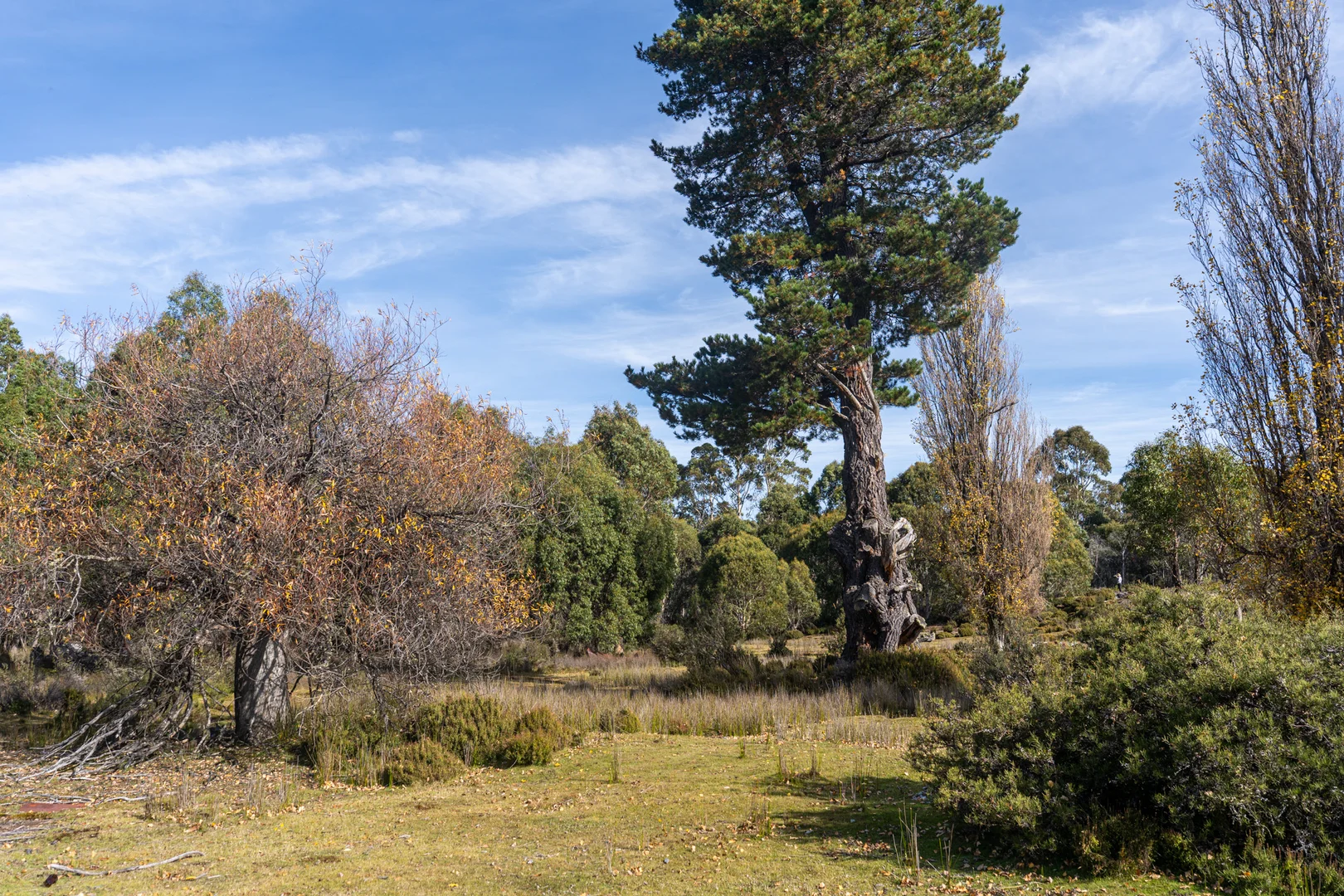 Image 29