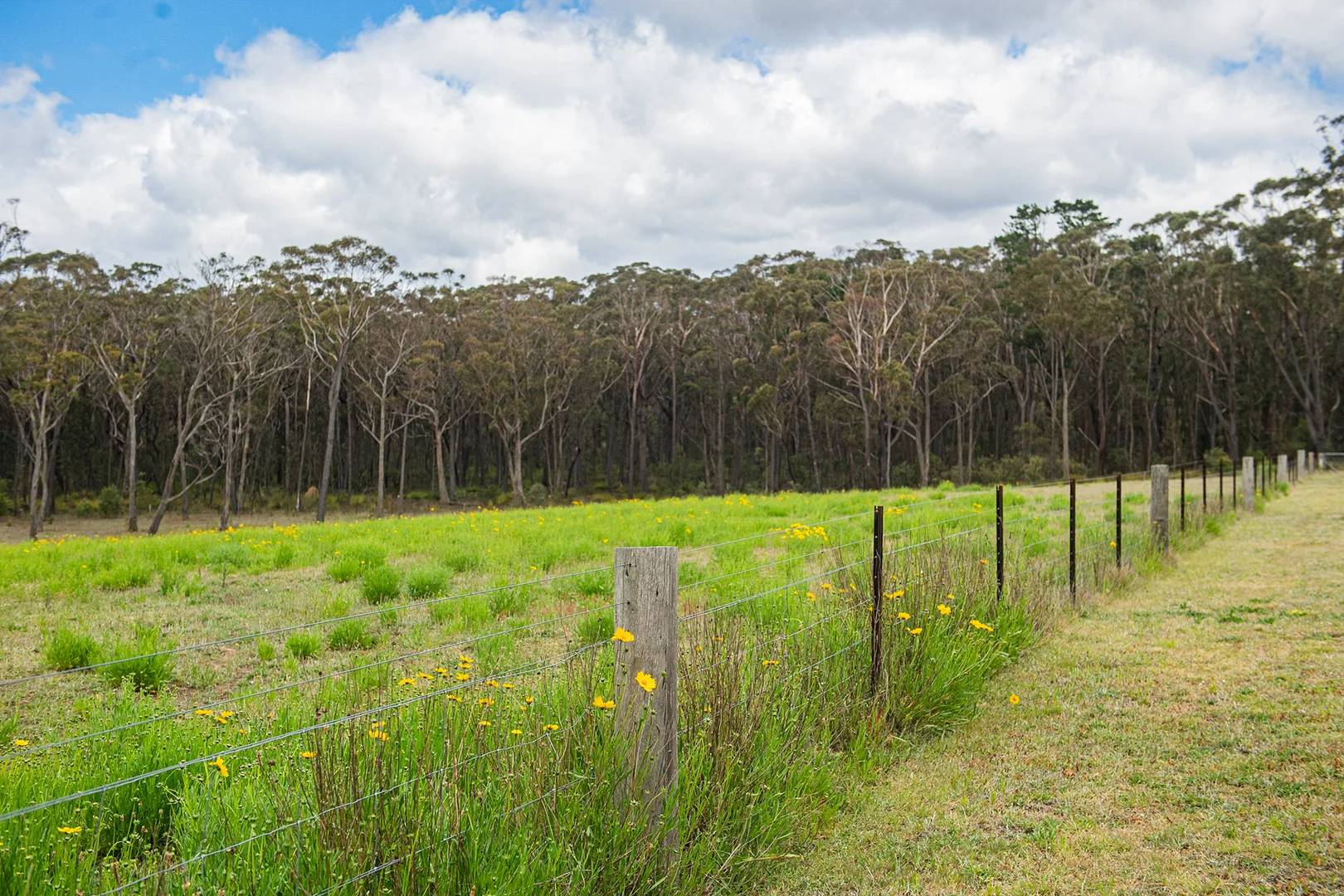 Additional image 21 of 22 Newbury Drive, Penrose NSW 2579