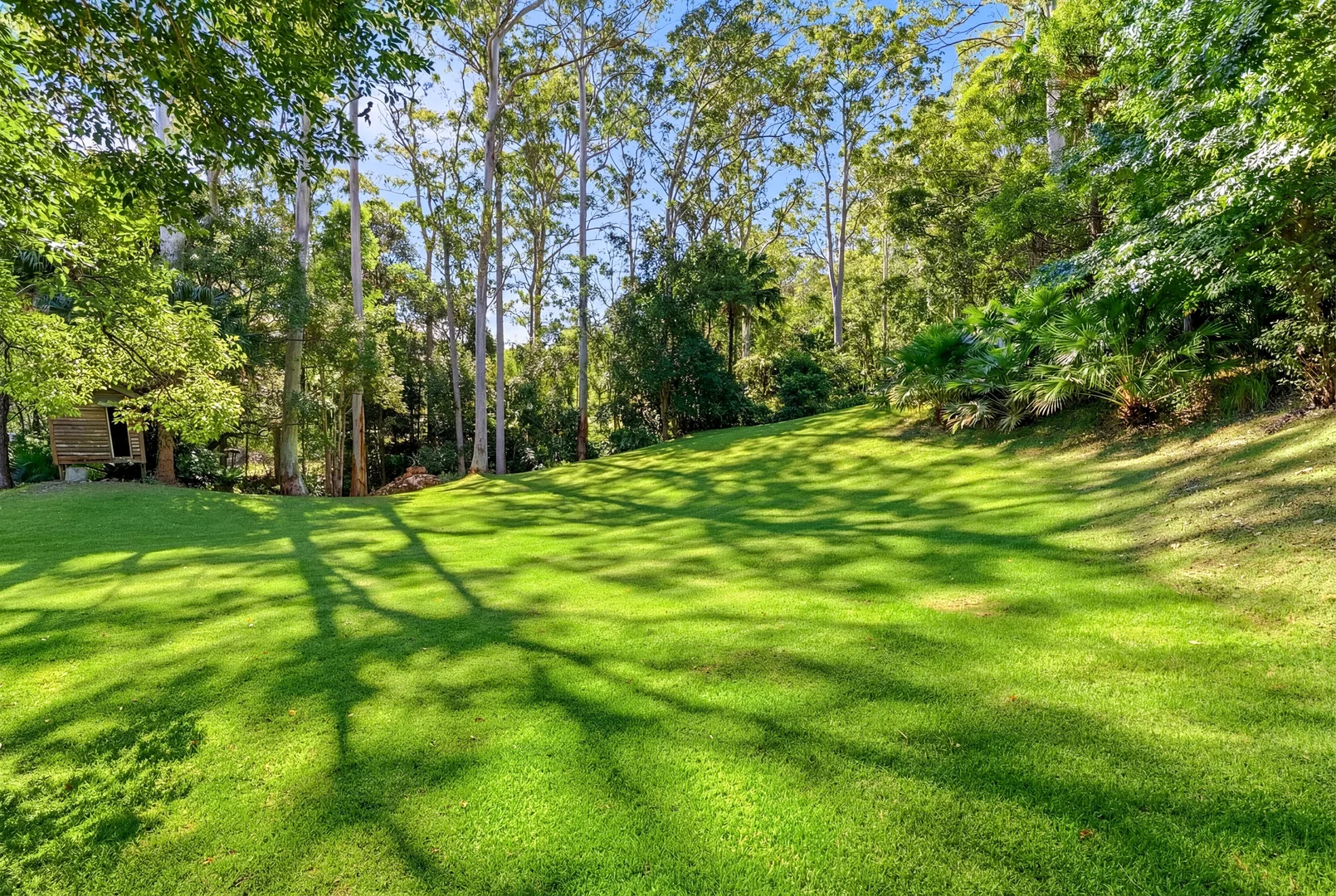 Additional image 13 of 234 Peach Orchard Road, Fountaindale NSW 2258