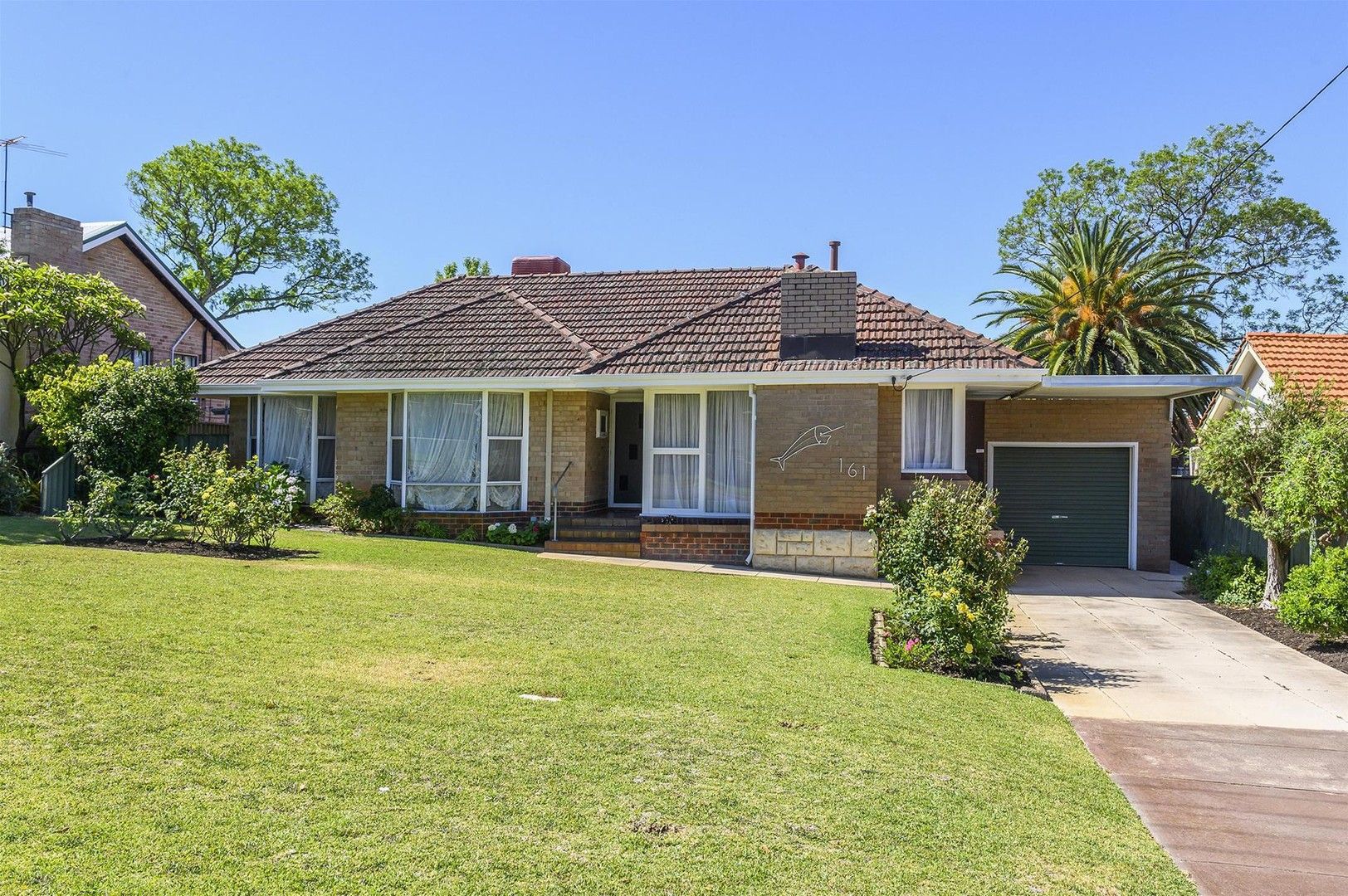 161 Virgil Avenue, Yokine WA 6060, Image 0