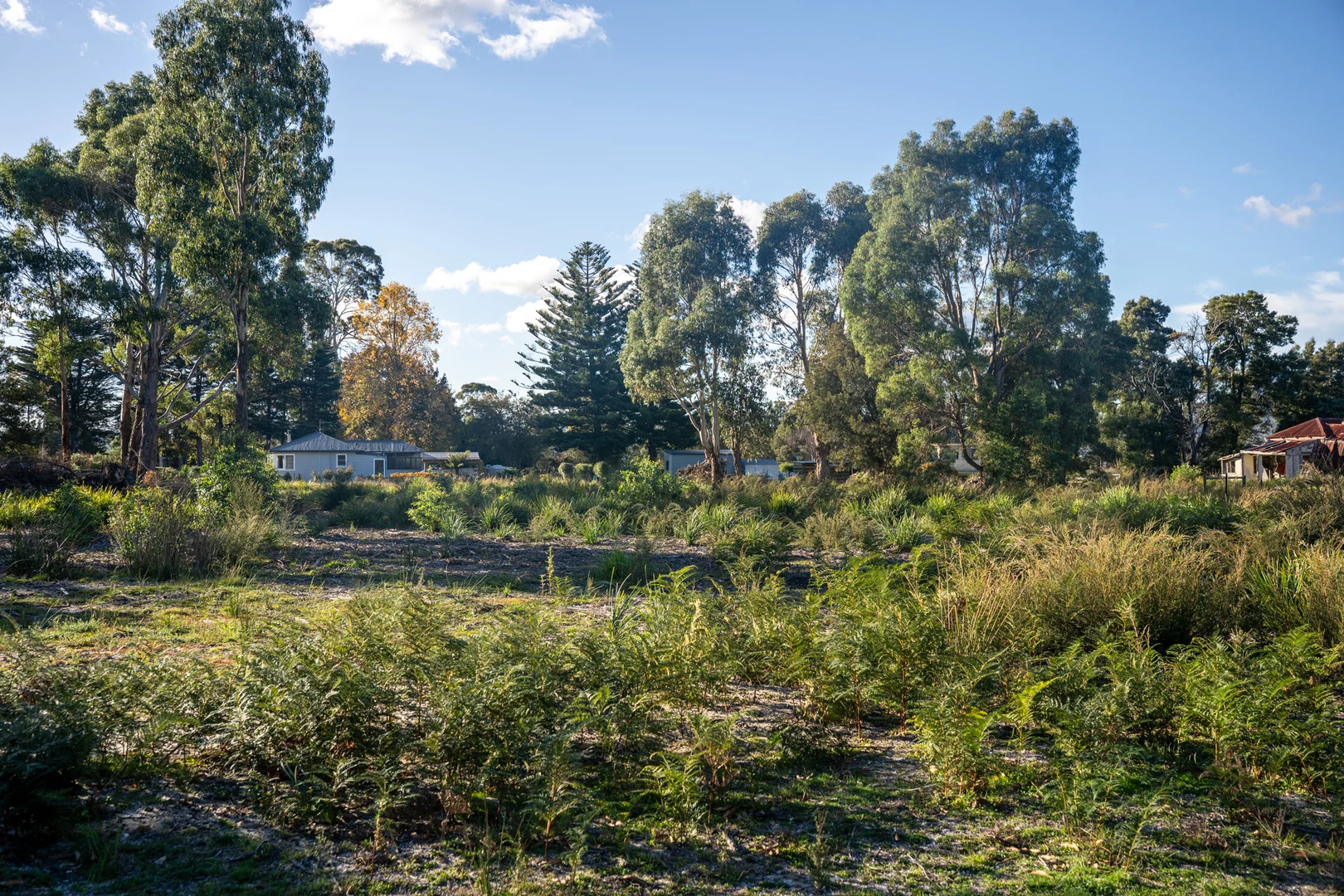 Image 20