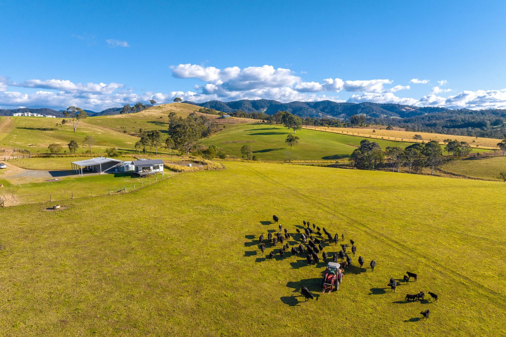 1954 Willina Road, Bunyah NSW 2429 - Farm for Sale | Domain