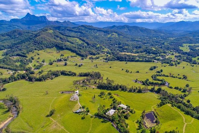 Picture of 159 Nobbys Creek Road, NOBBYS CREEK NSW 2484