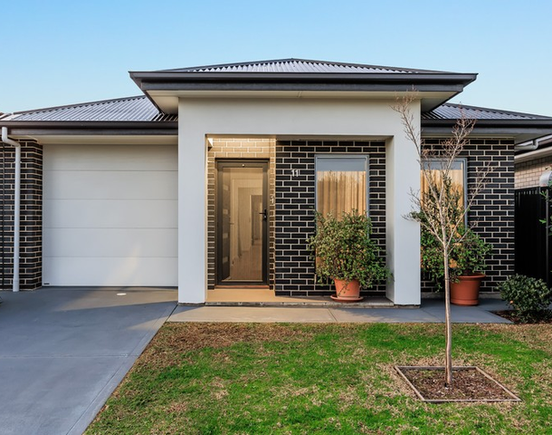 11 Allison Street, Ascot Park SA 5043